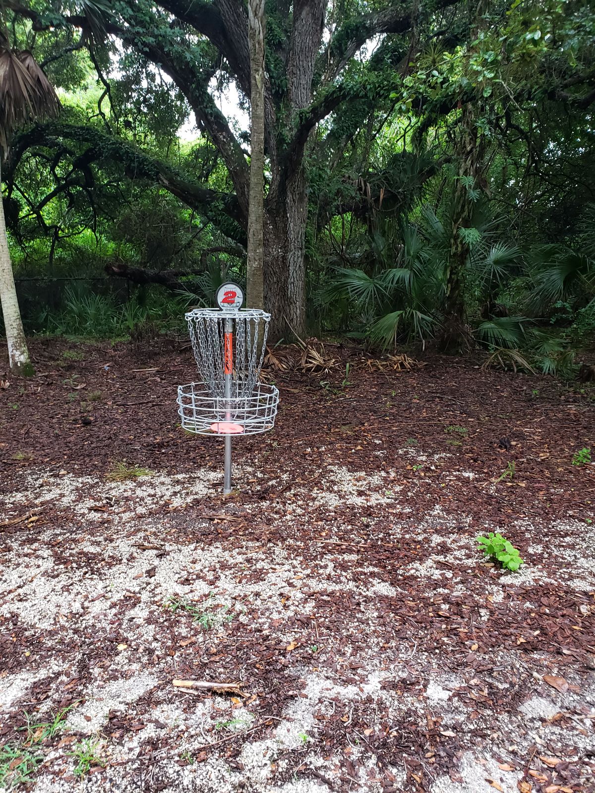 Hole 2 circle