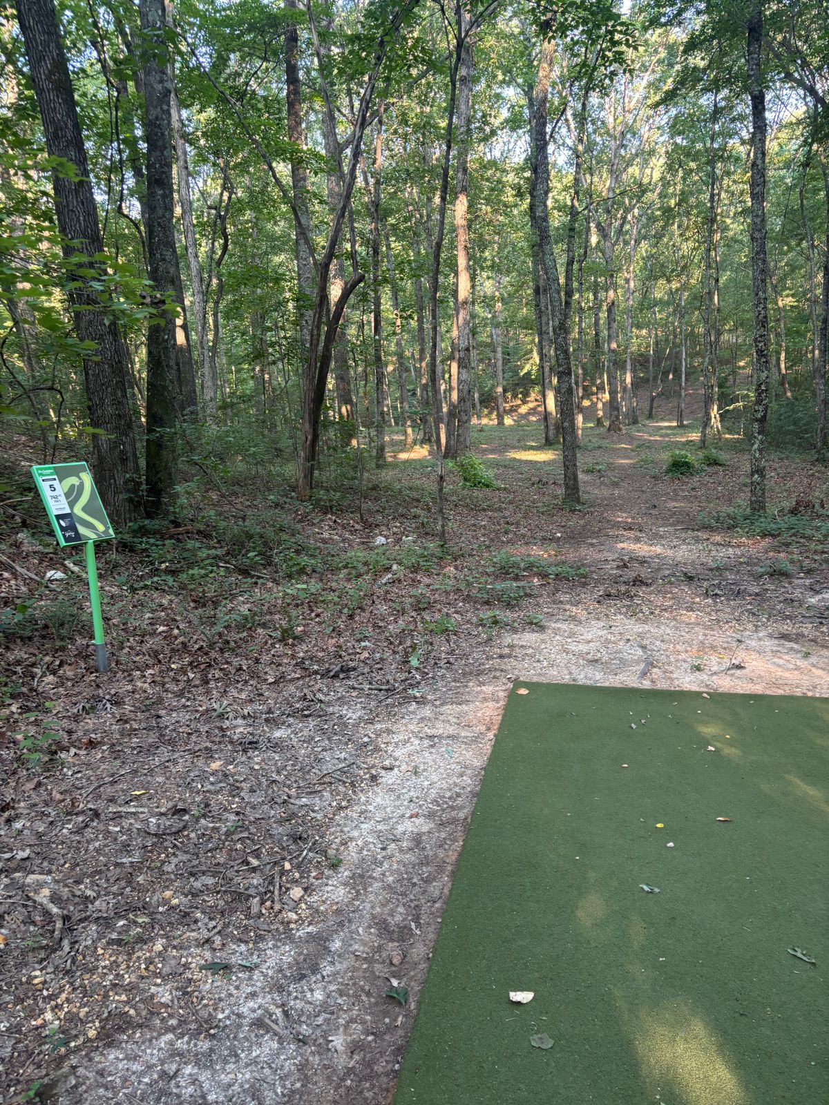 Hole 5