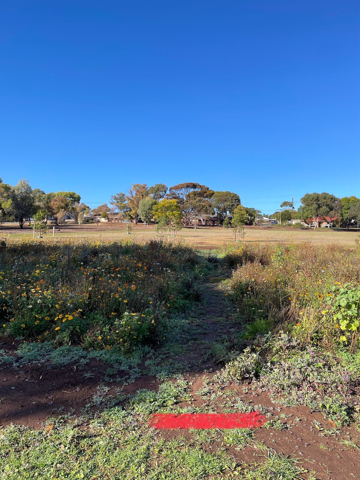 Hole 15! Tee