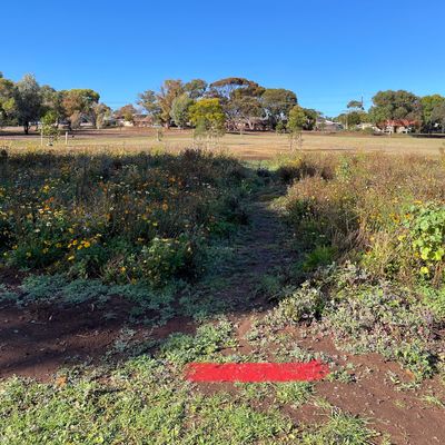 Hole 15! Tee