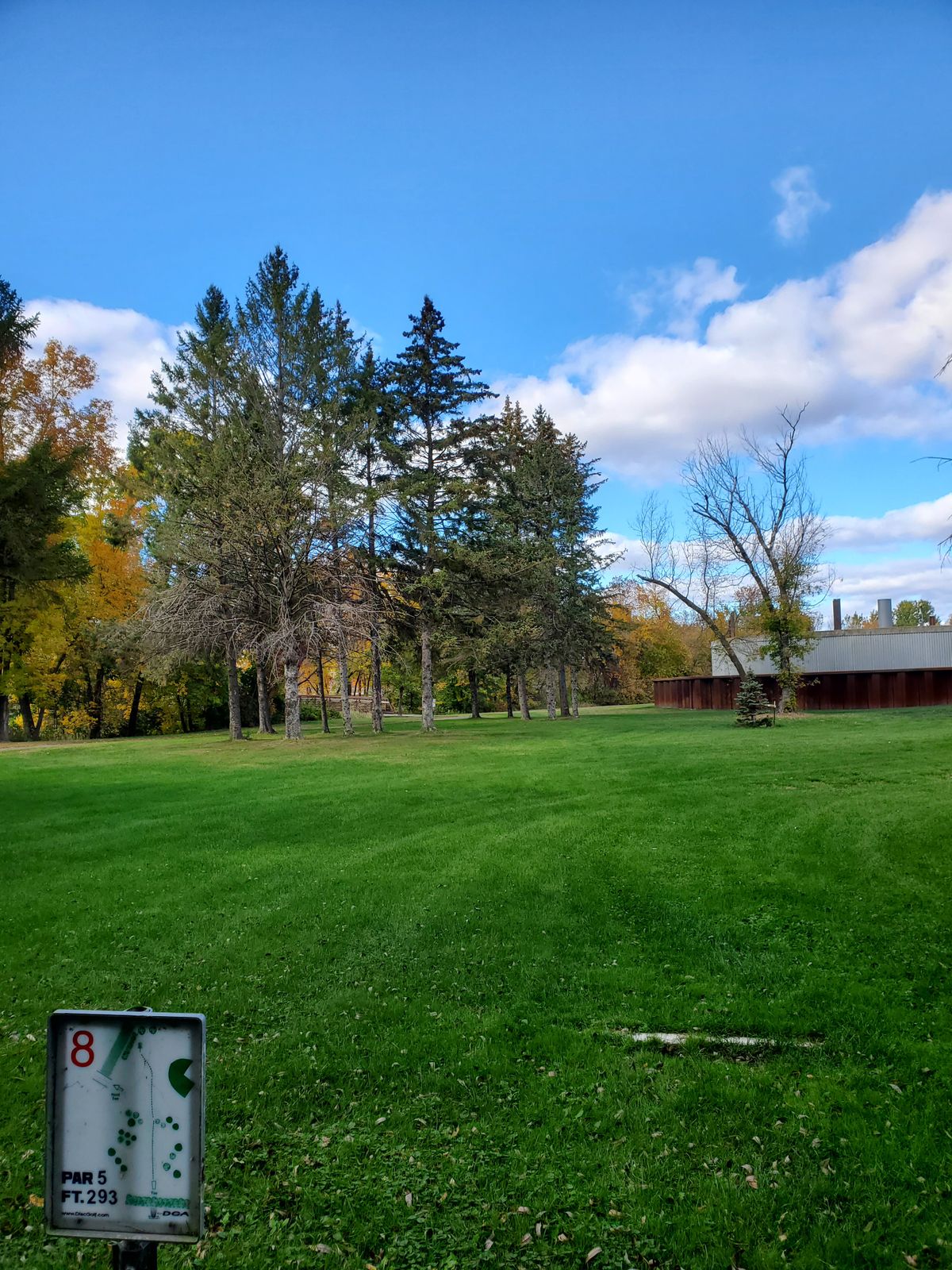 #8 Tee