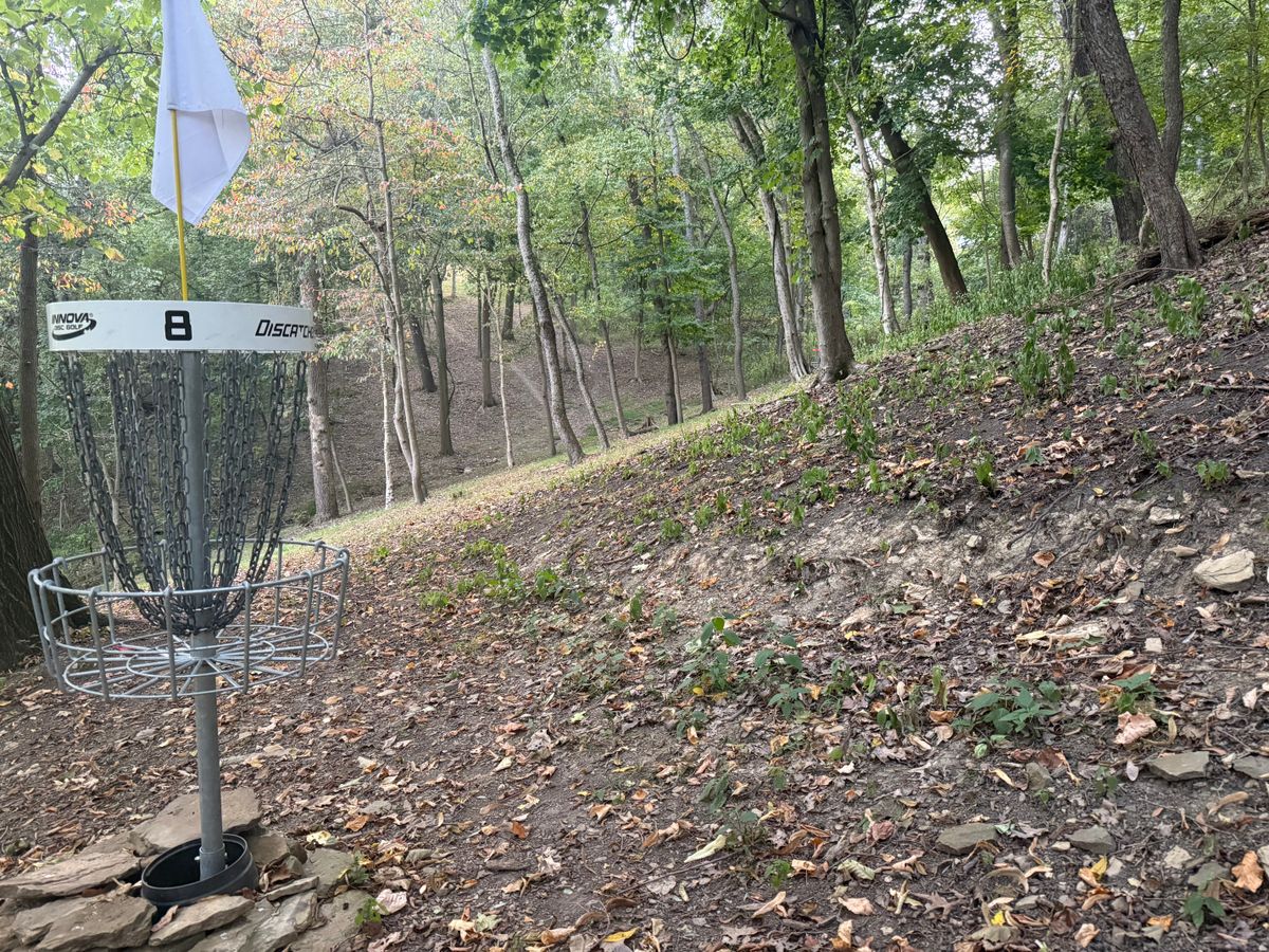 Looking back up the fairway from 8D