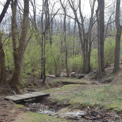 Hole 14 from fairway