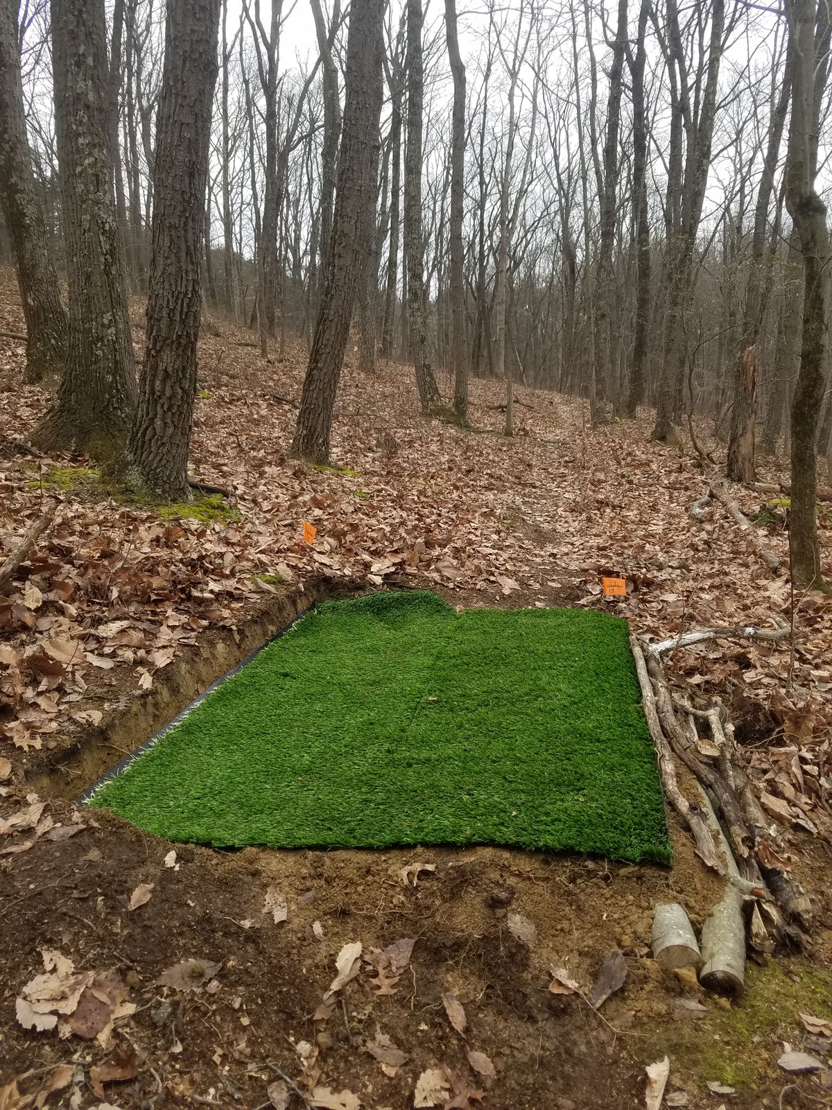 Hole #14 Tee Pad