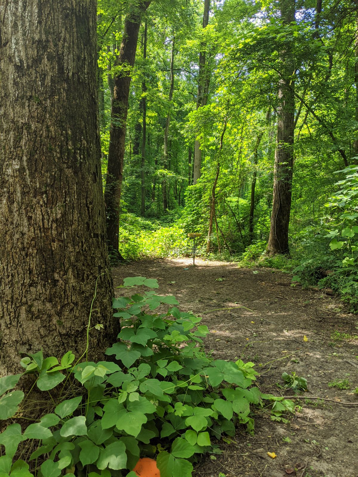 Hole 13 pin