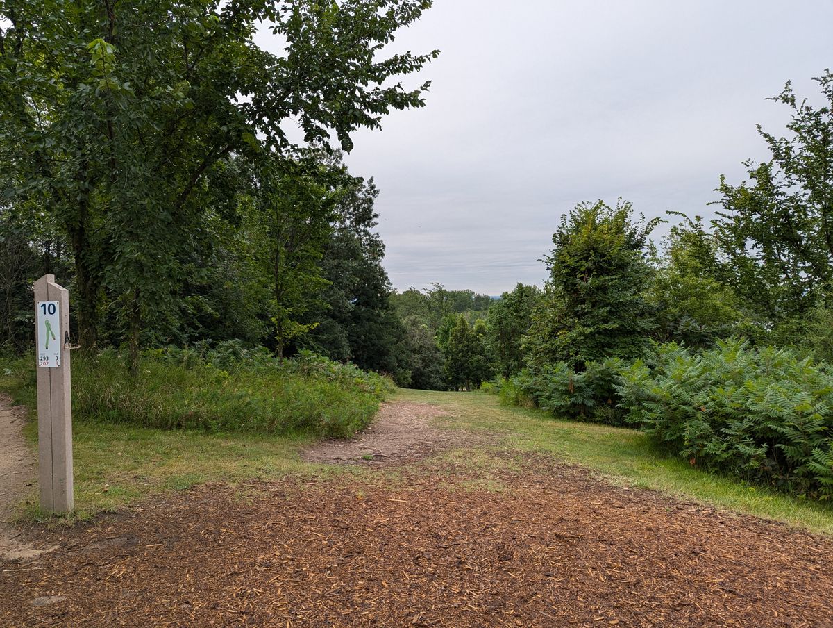 Hole 10 tee