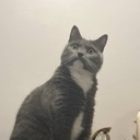 User avatar image