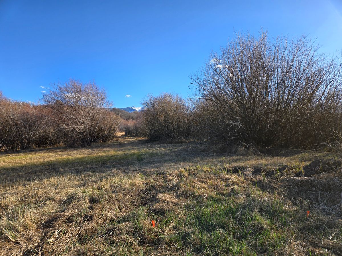 Hole 5 tee