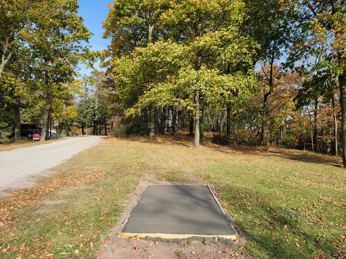 Hole 2, mando RIGHT of tree on left side of fairway.