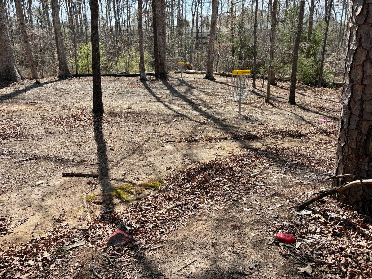 Hole 8 short tee (7’s basket in foreground)