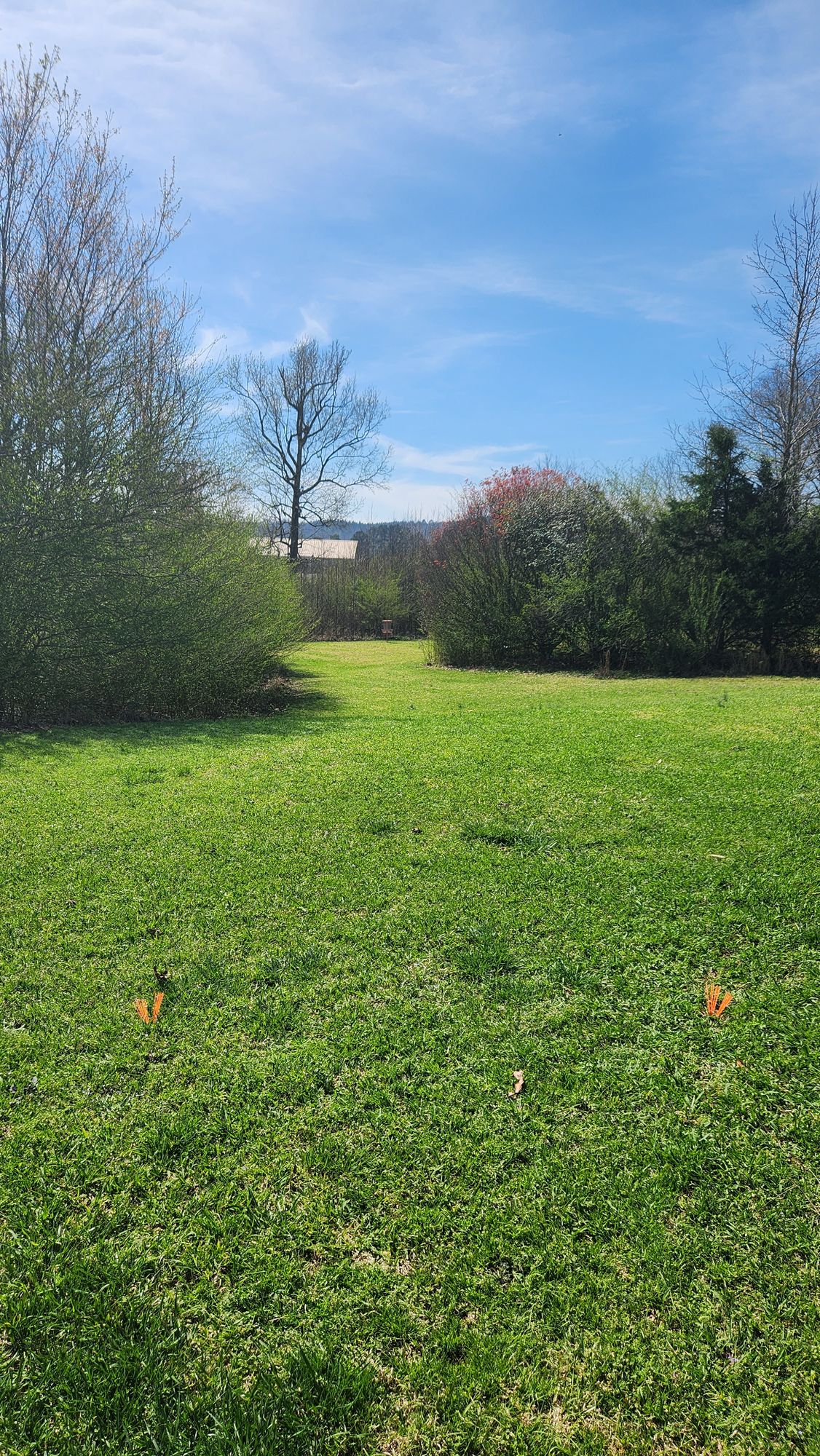 Hole 8