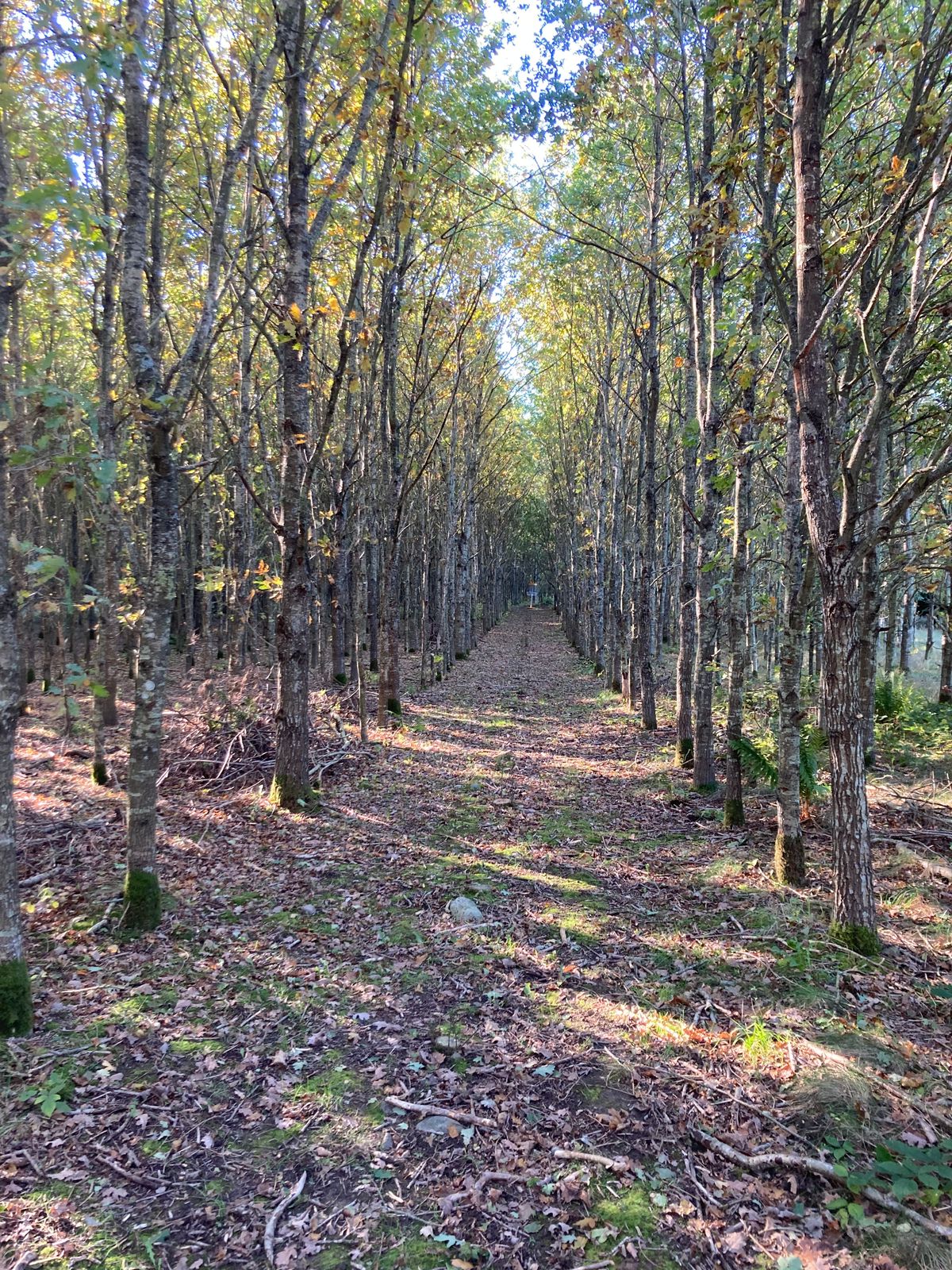 Hole 18.