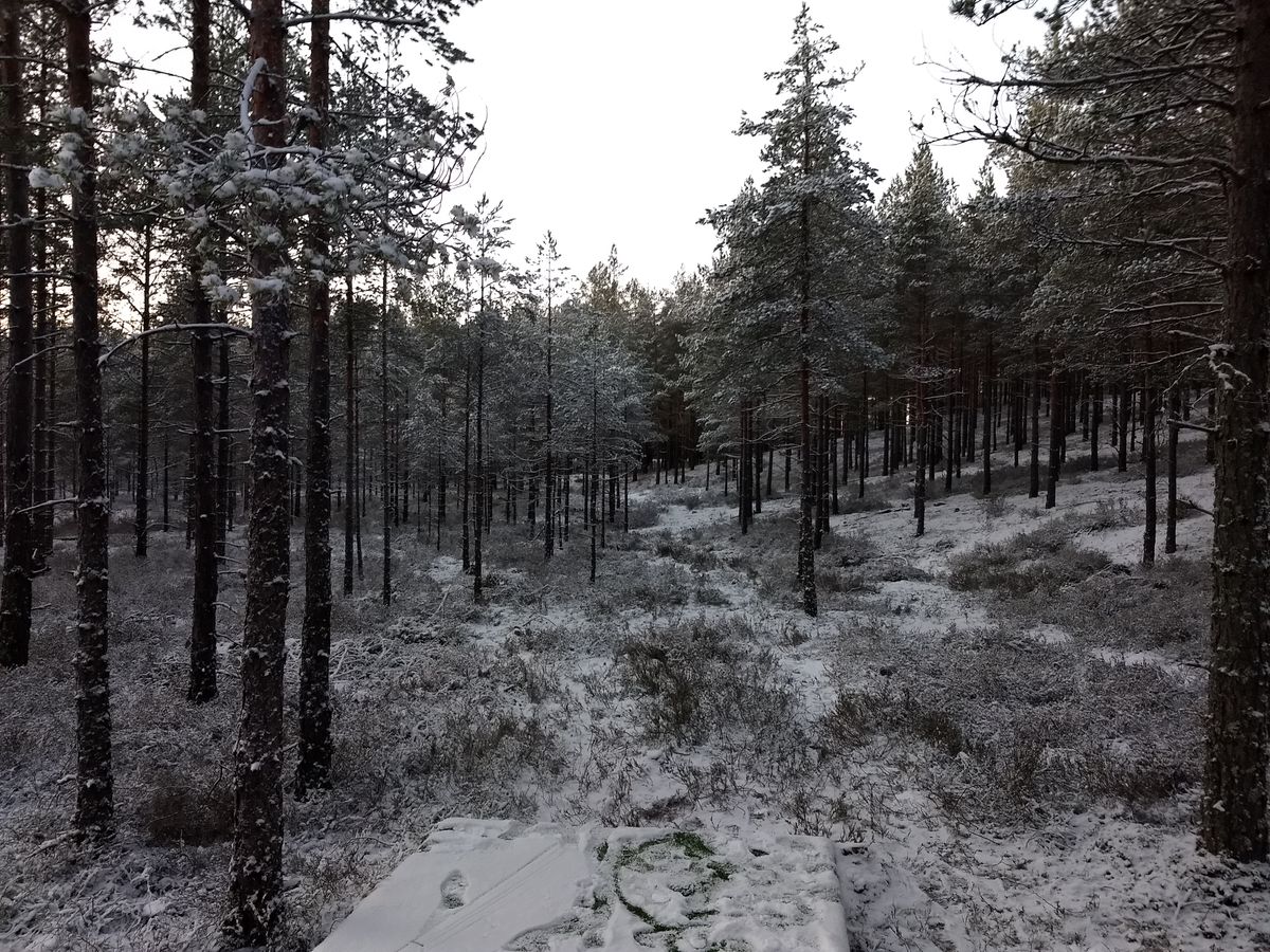 Hål 15