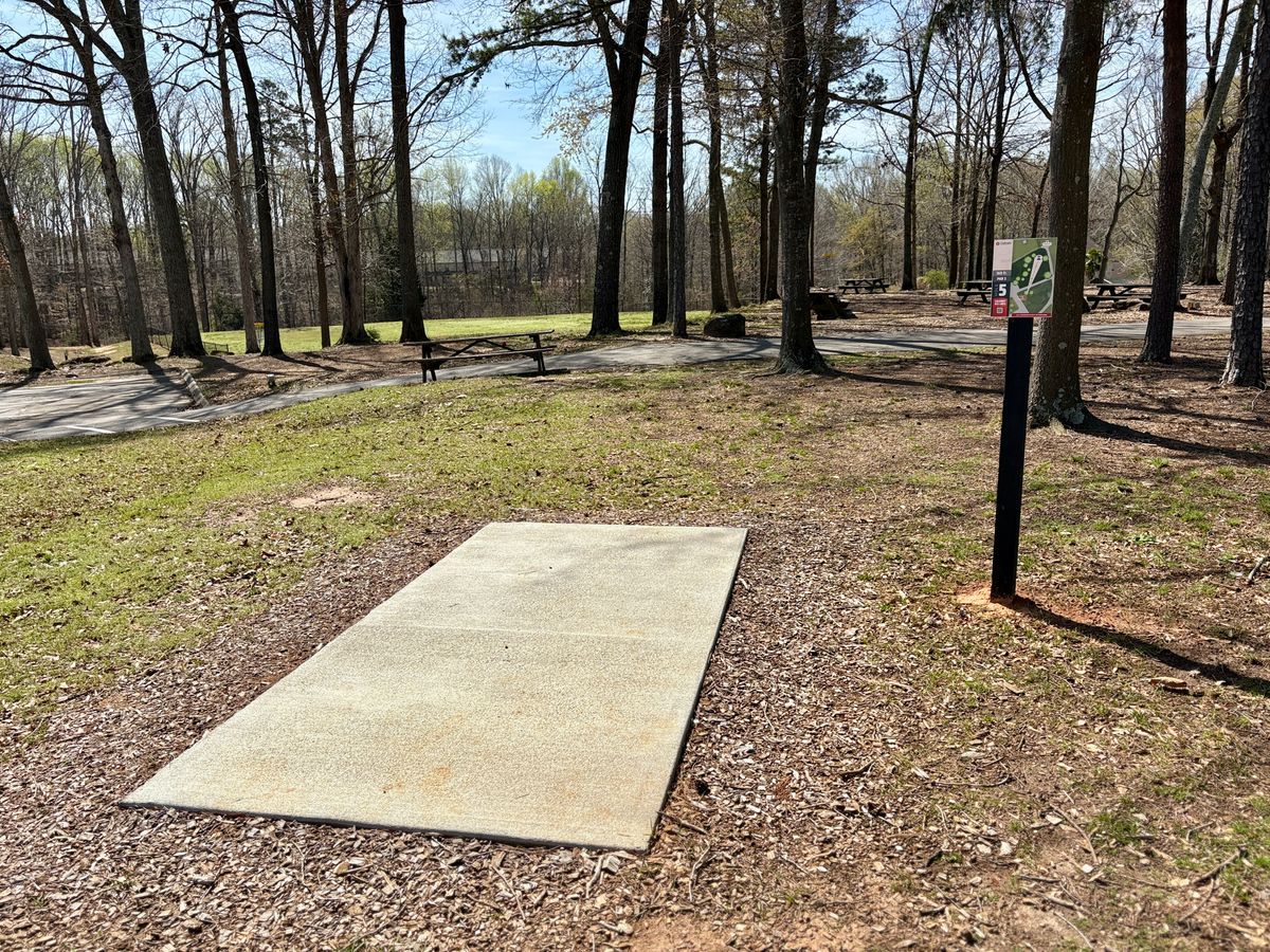 Hole 5 tee