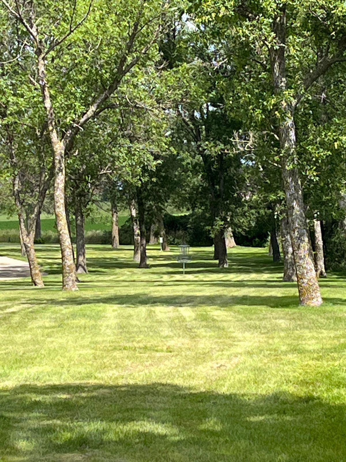 View of #1 from tee.  Straight shot…fence line and field to right.