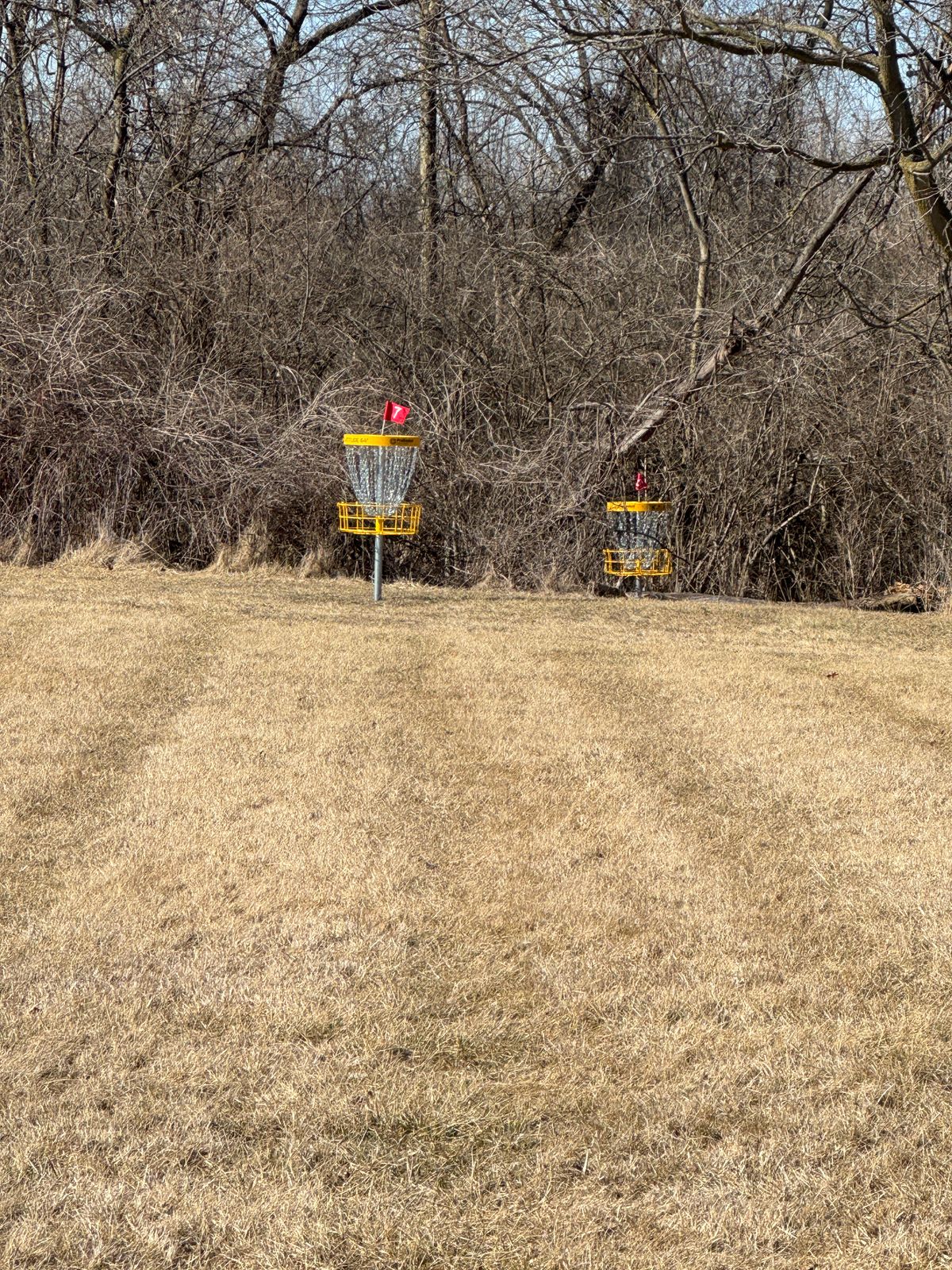 Baskets for holes 7 and 5