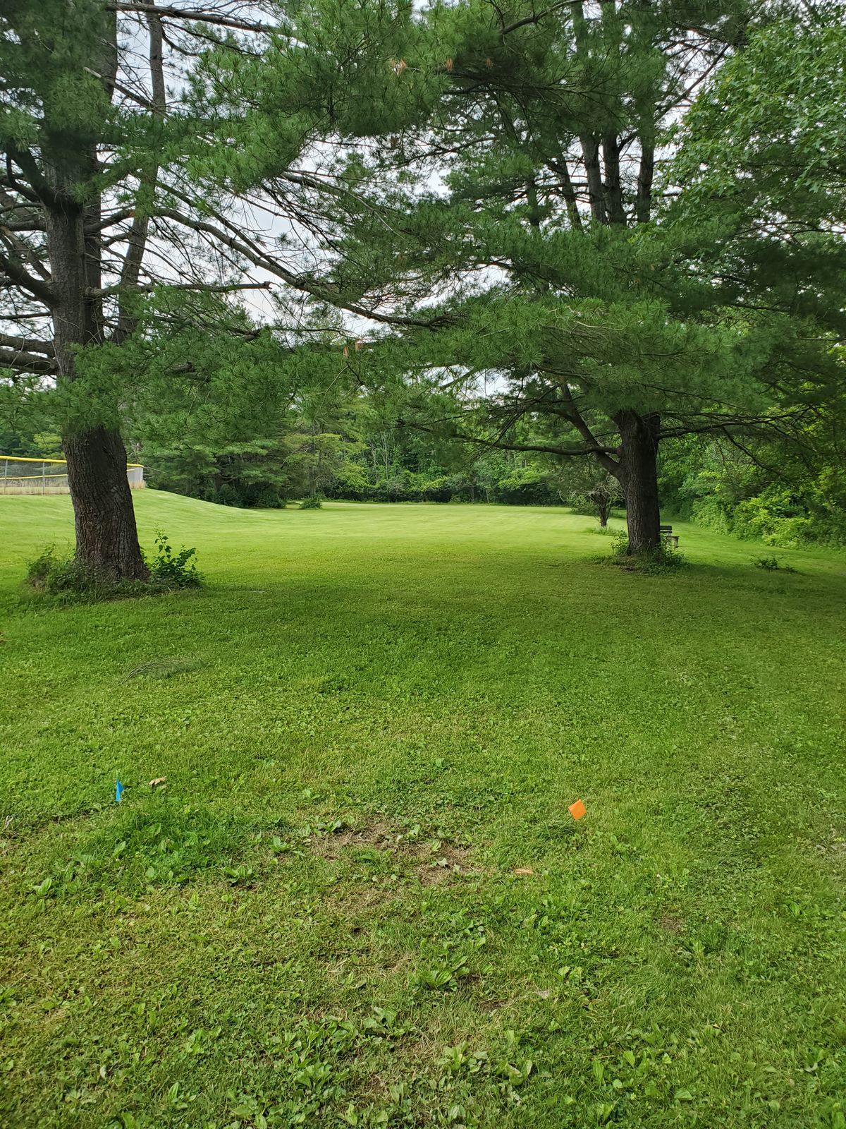 Hole 7 Blue tee.