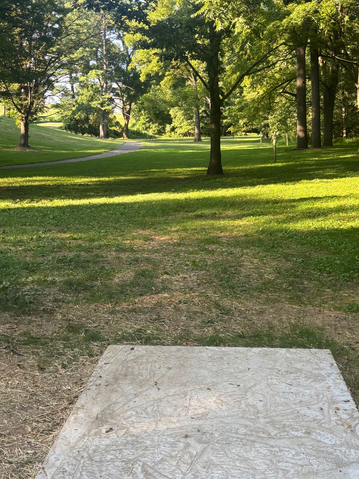 Tee #2 brings a tree into play