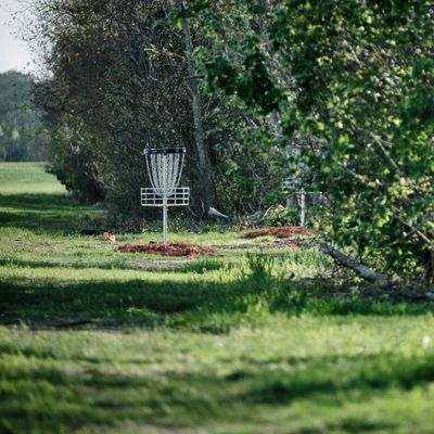 DGPT Big Easy Open Hole 3