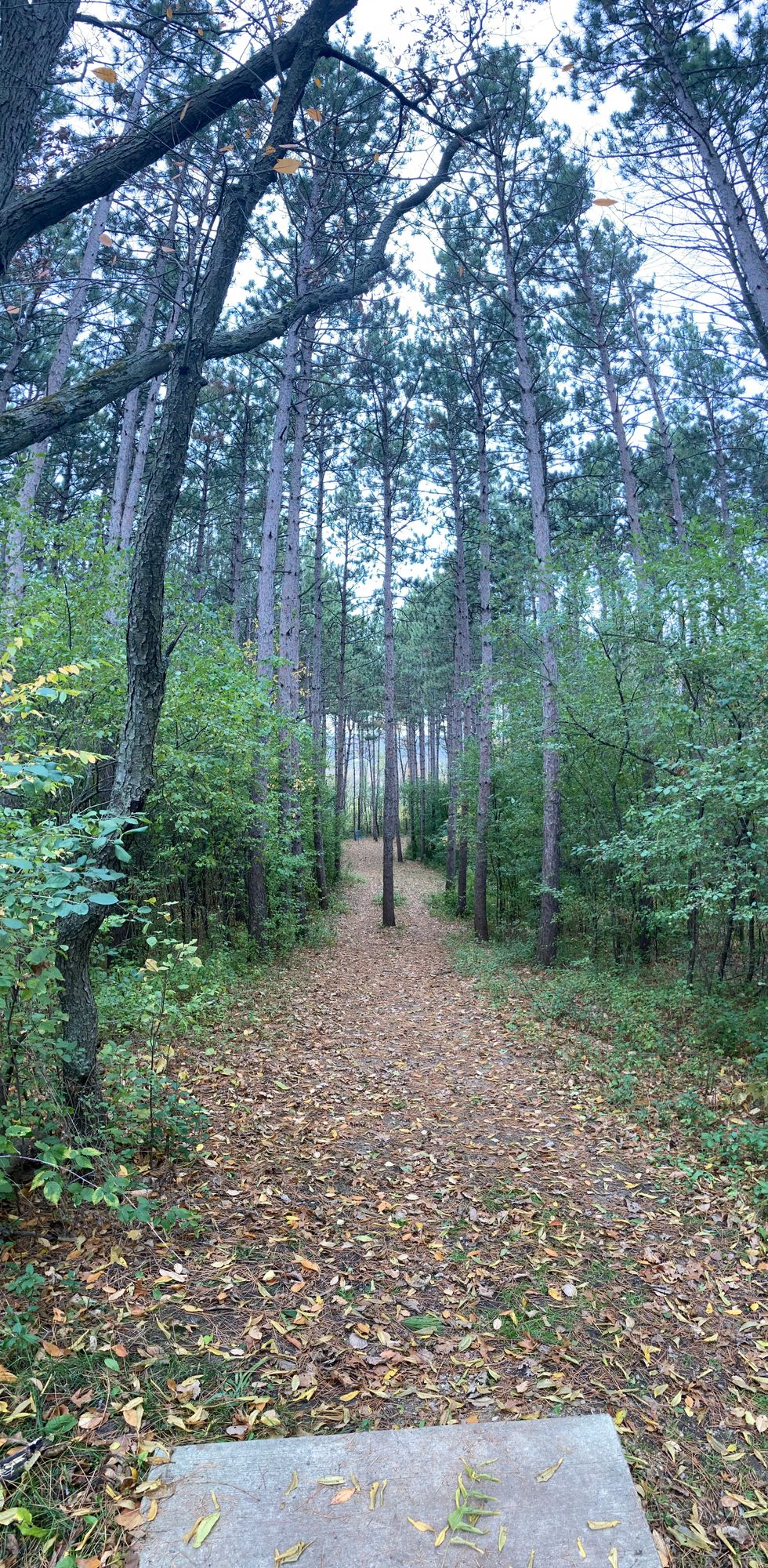 Short Tee - tight fairway