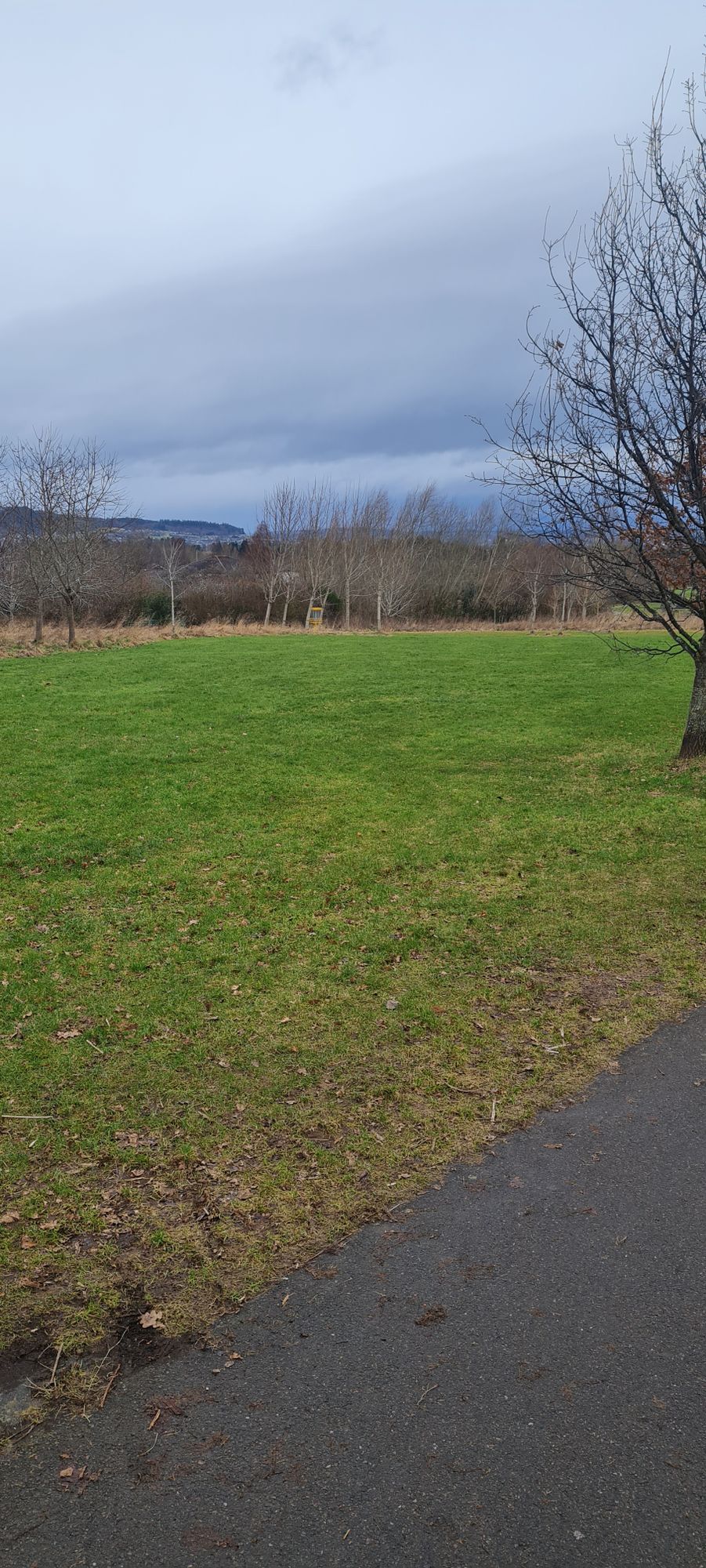 Hole 8