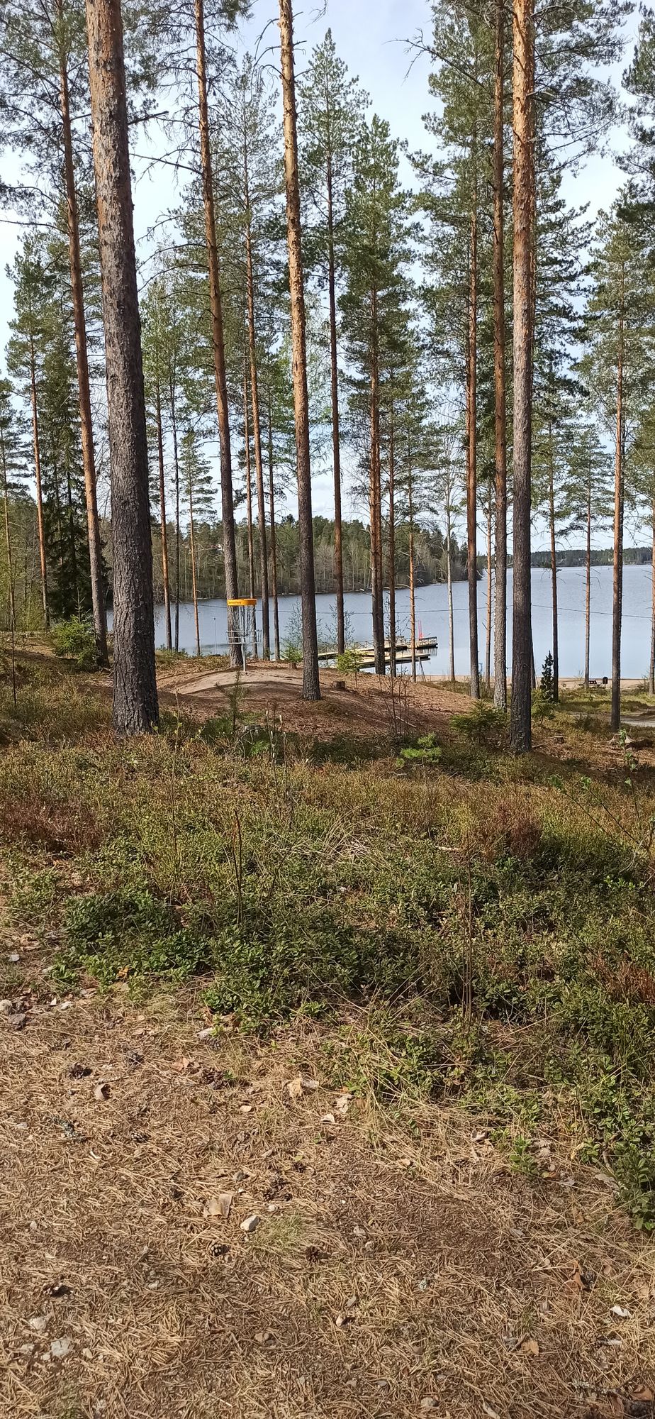Väylä 4 kori