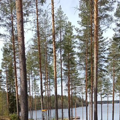 Väylä 4 kori