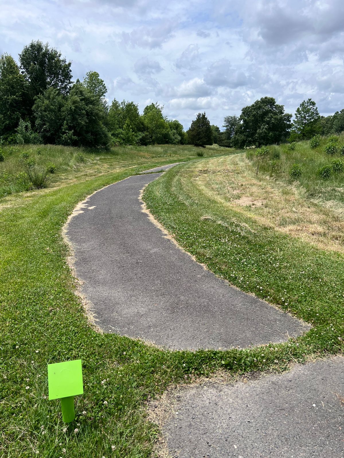 Hole 11 tee, fairway bends to the right, basket is under that small group of trees in the top right