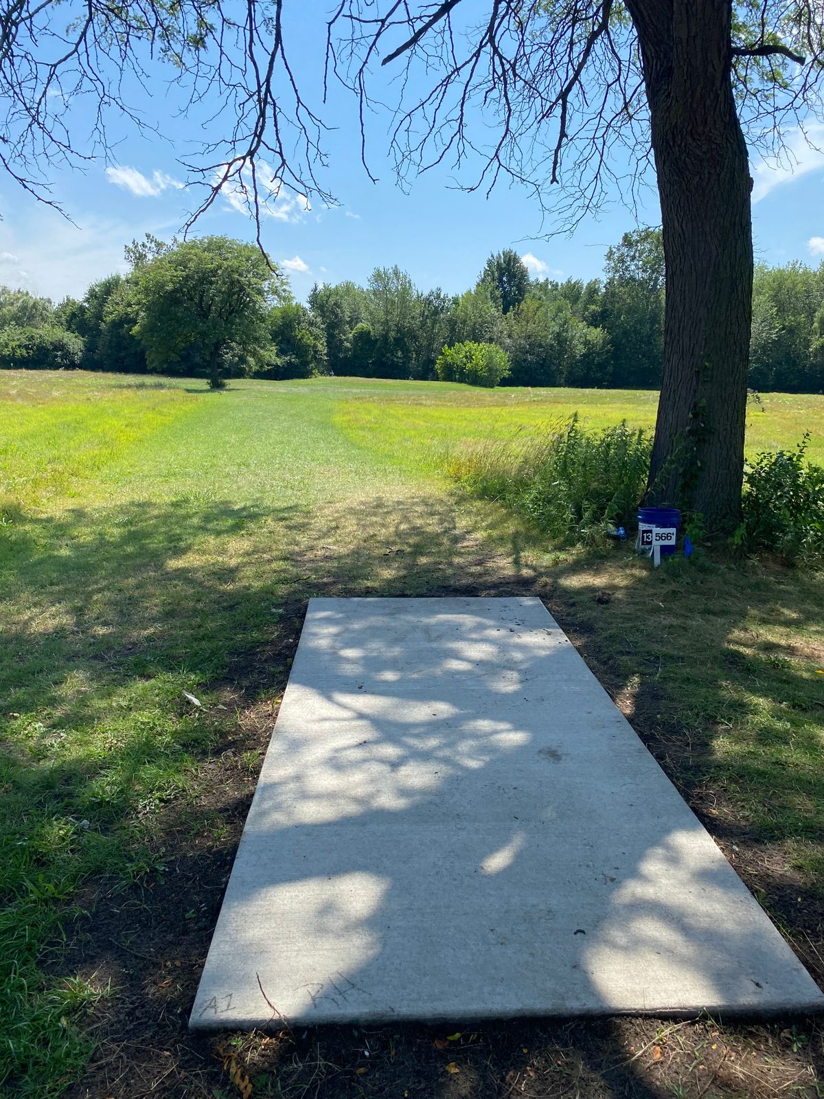 Hole #13 Pro tee pad