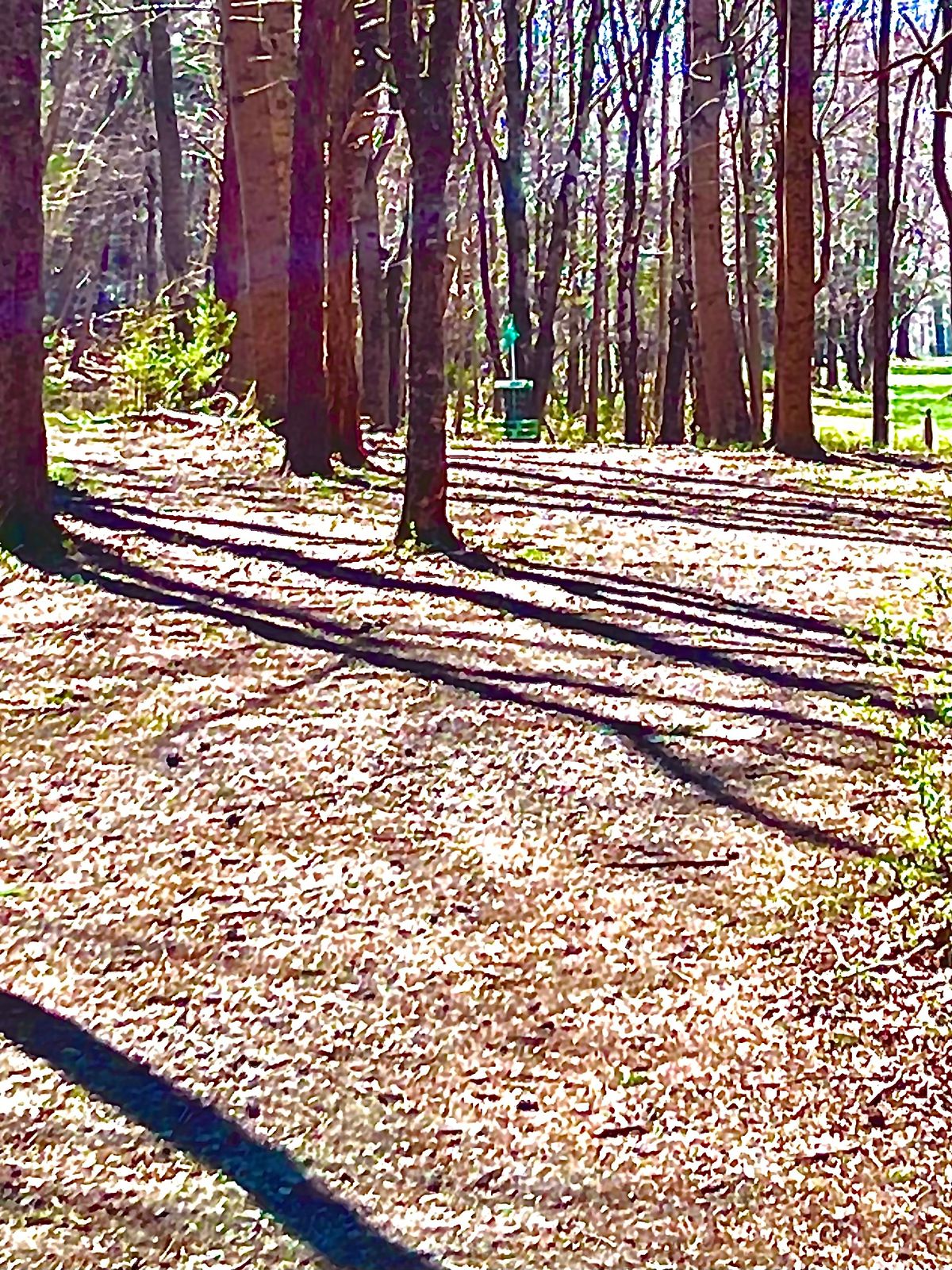 Hole 9