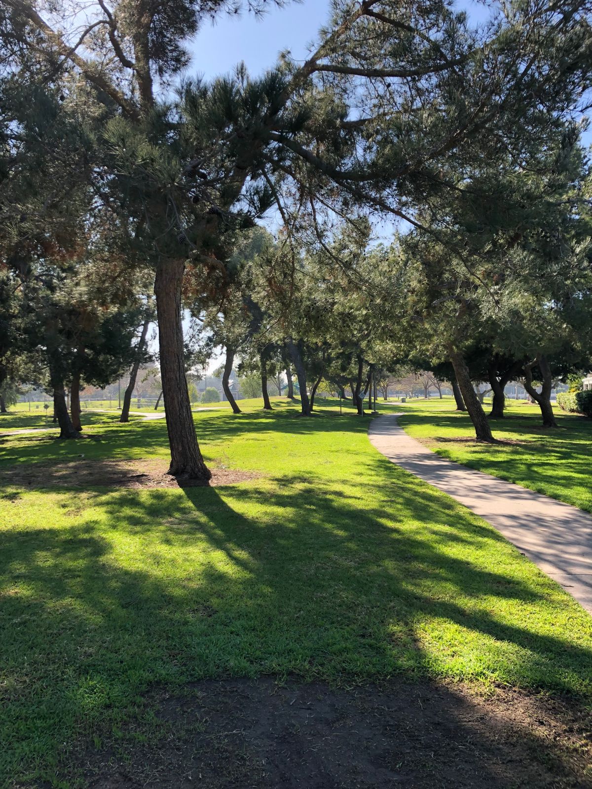 Hole 5 (Unoffical Long Tees)