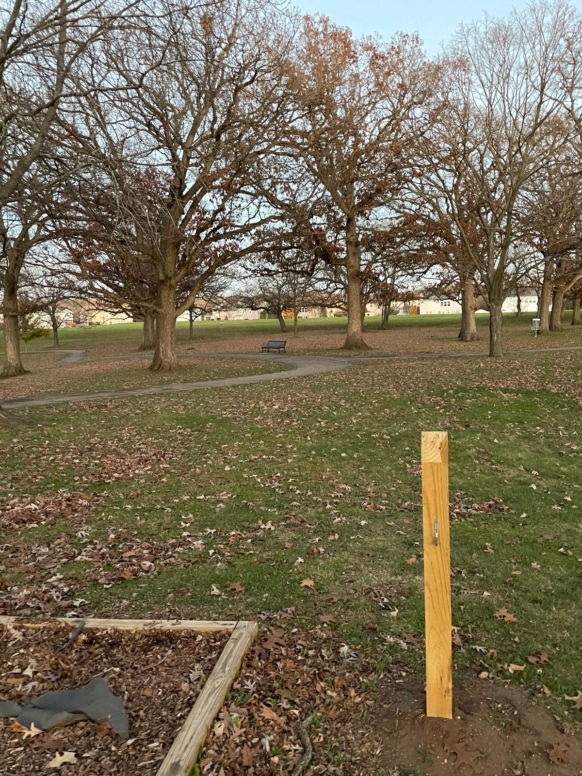 Hole 3– basket on edge of tree line