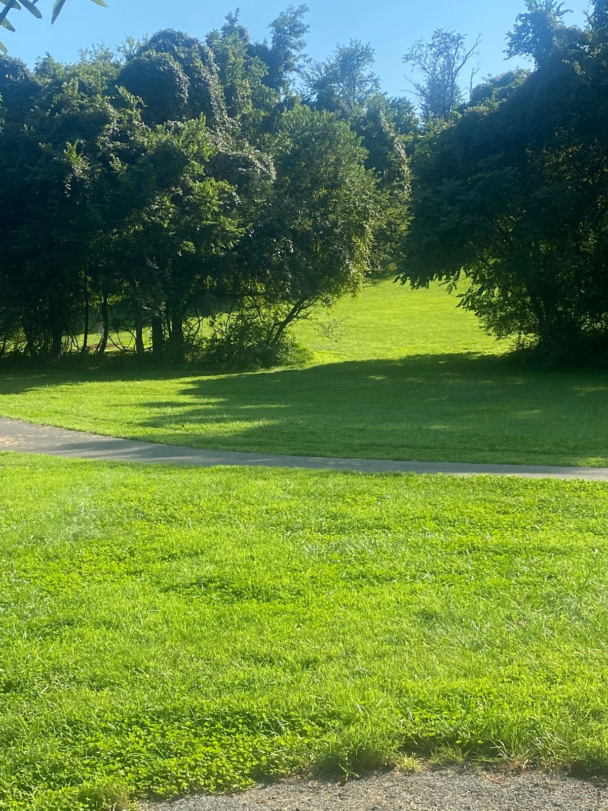 Hole 5