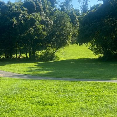 Hole 5
