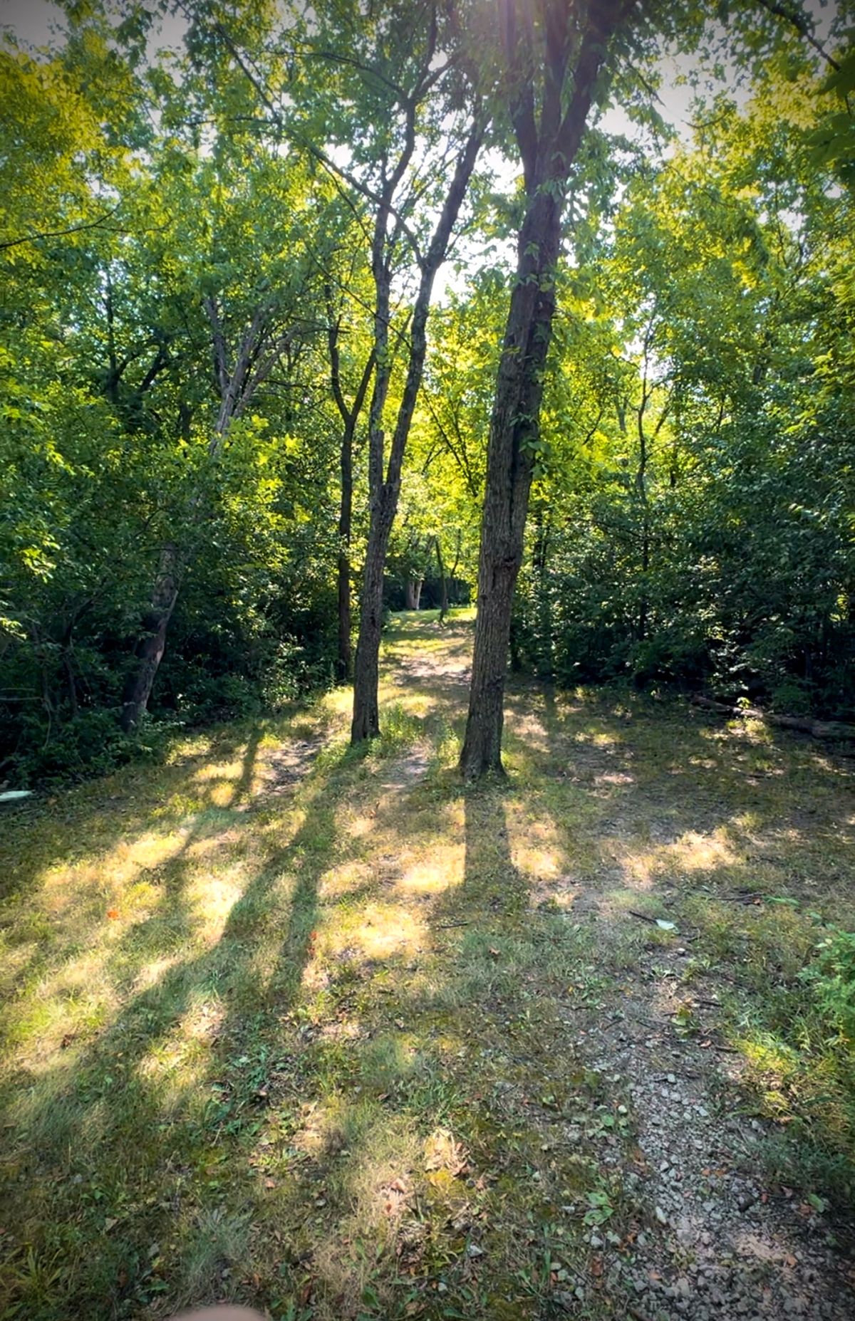 Hole 12 - great hole for breaking in a new disc 🤣Just one of quite a few seriously tricky tee shots