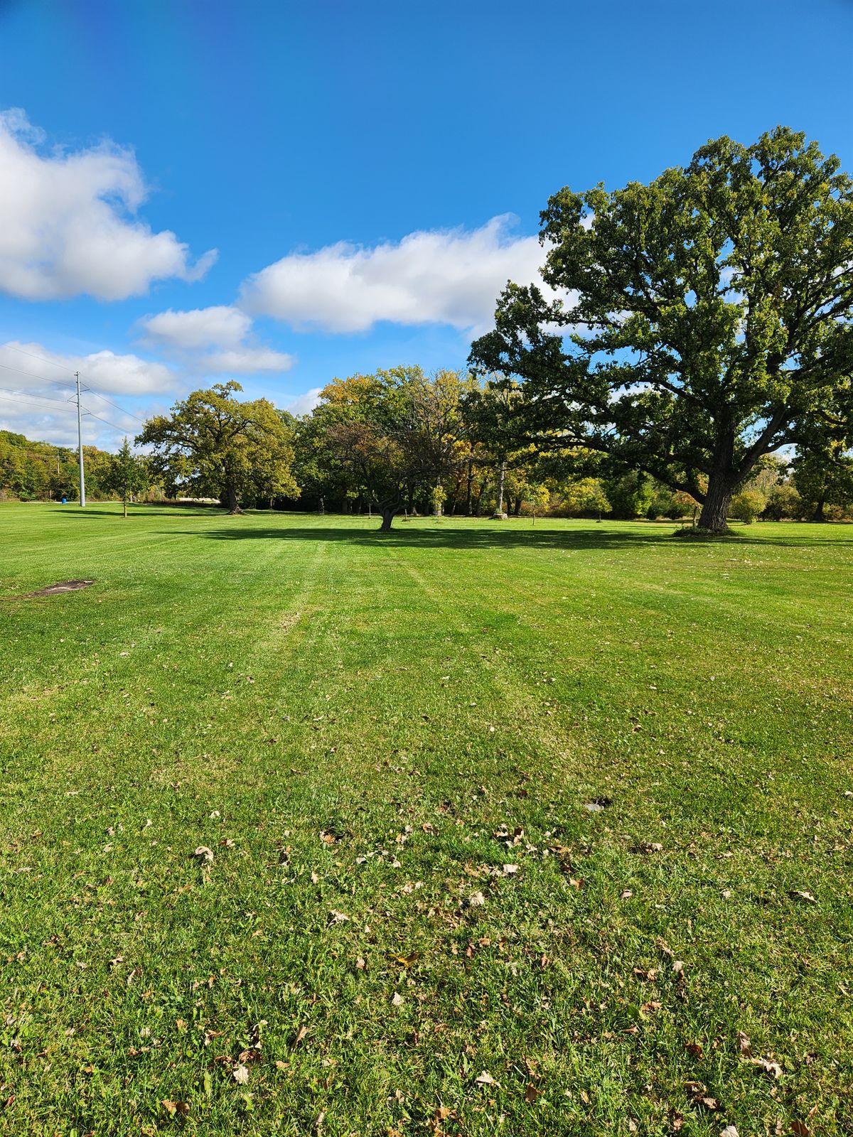 Hole 2 long tee