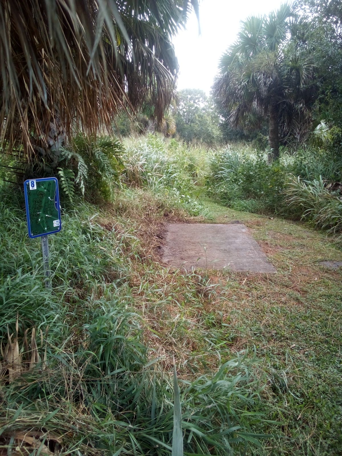 Long tee pad #8 after