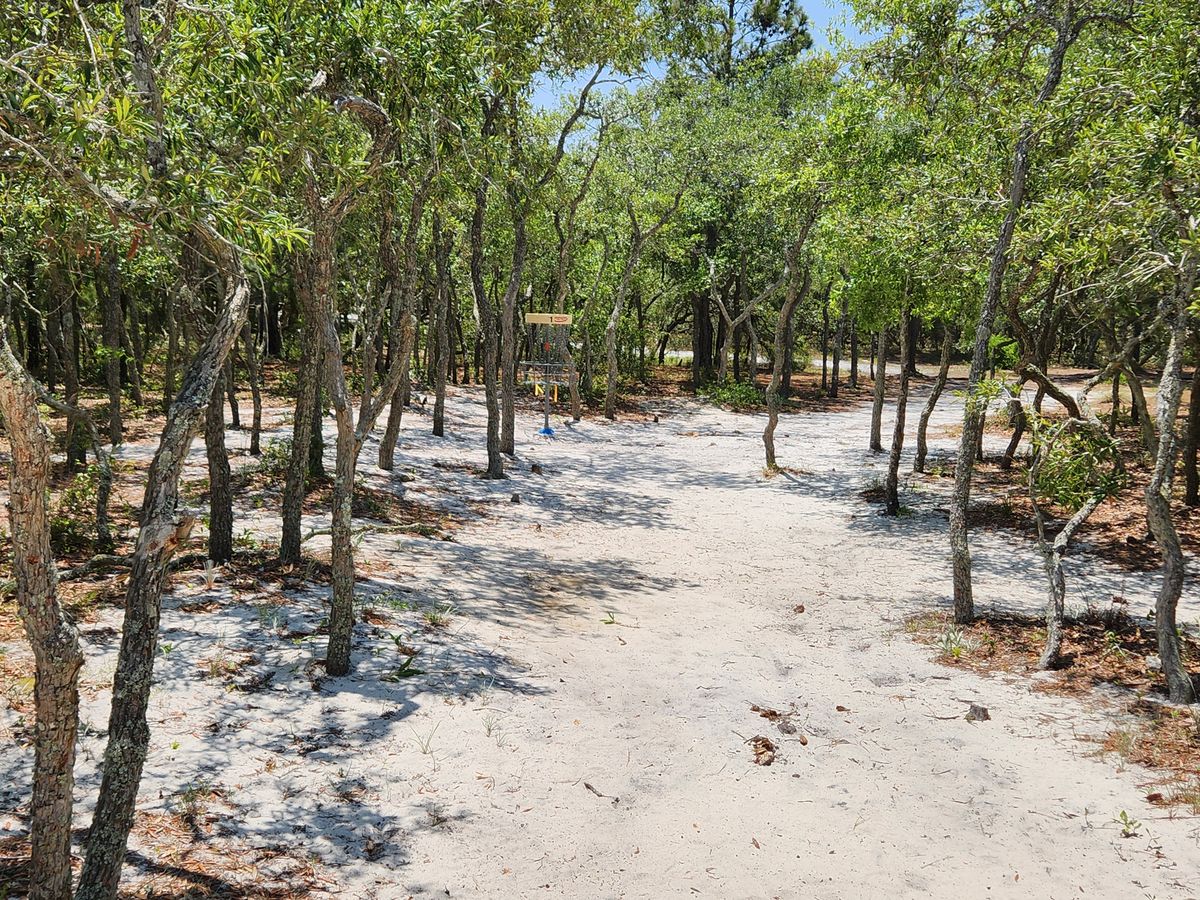 Hole 1 alternate basket