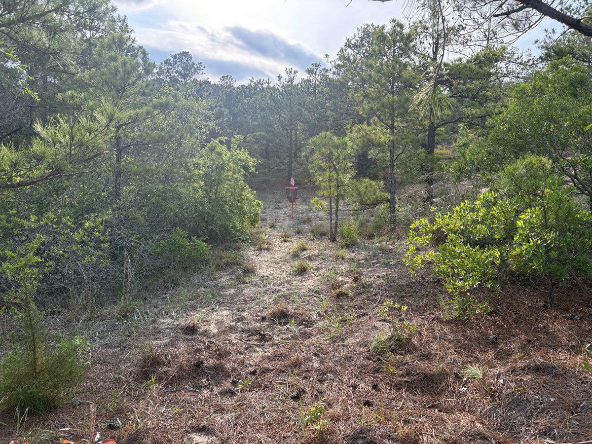 Hole 6 approach