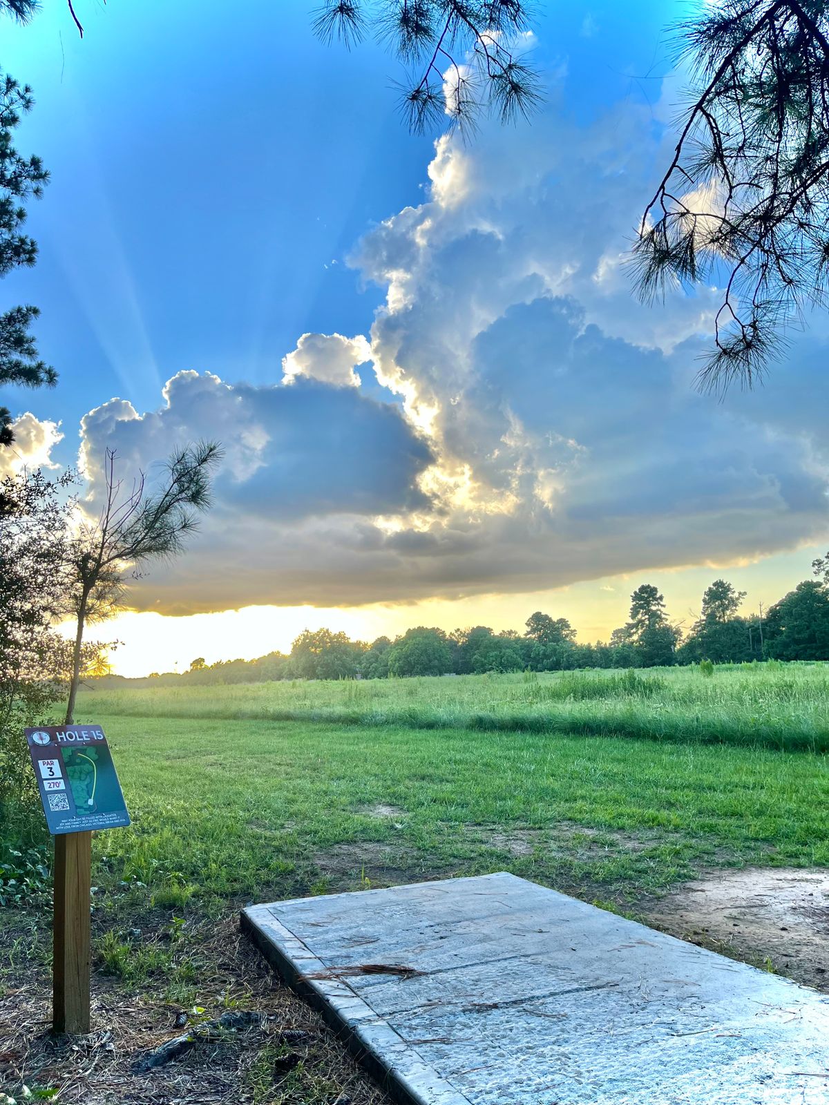 Hole 15