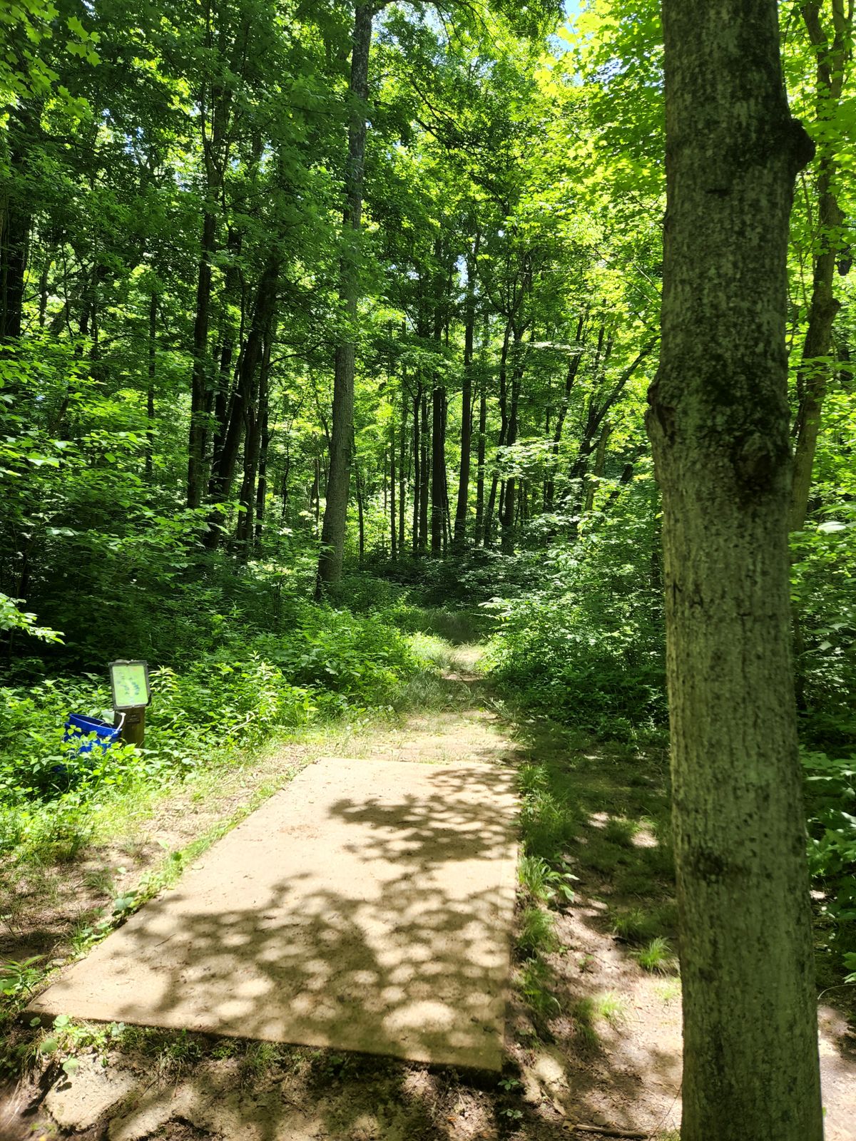 Hole 16
