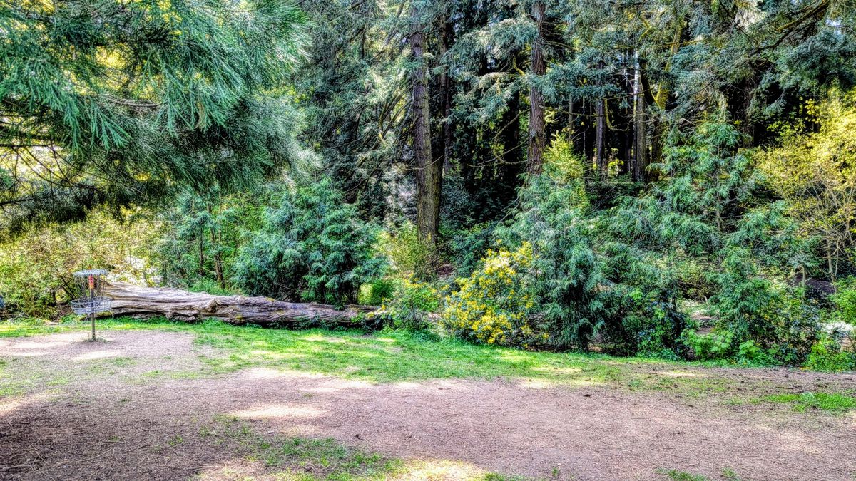 Hole 9B from the pad of 10.