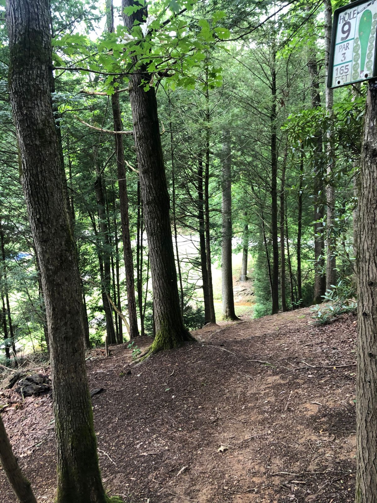 Hole 9 from tee