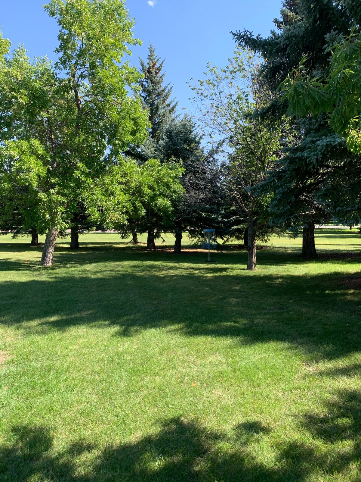 Hole 7 basket