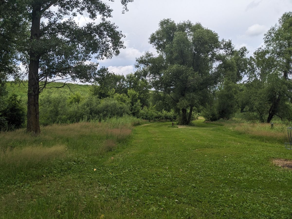 Looking back on hole 7, this must be an inside joke in the parks dept of Blaine. The long route is overgrown, and the inside route is just gone now.