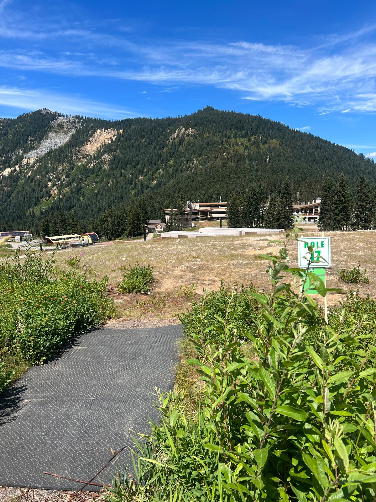 Hole 17 view from the tee. Hill drops off and basket is near bottom of hill.