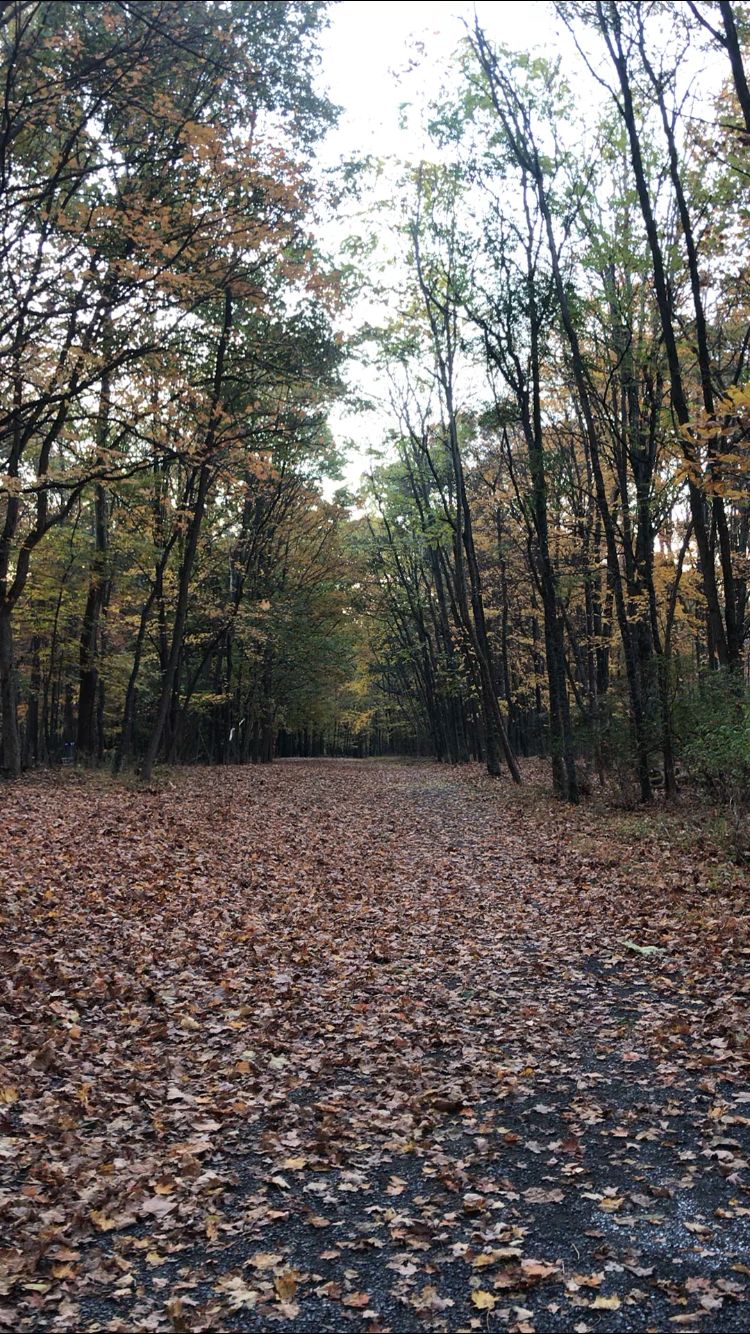 Fairway view