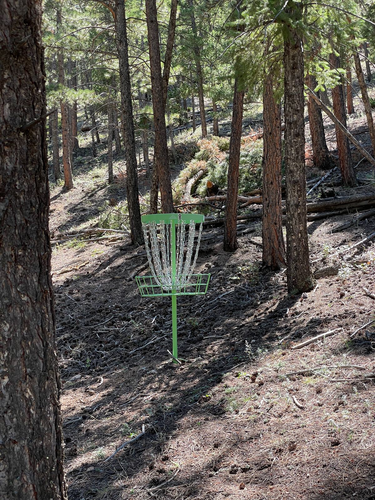 Hole 8 basket