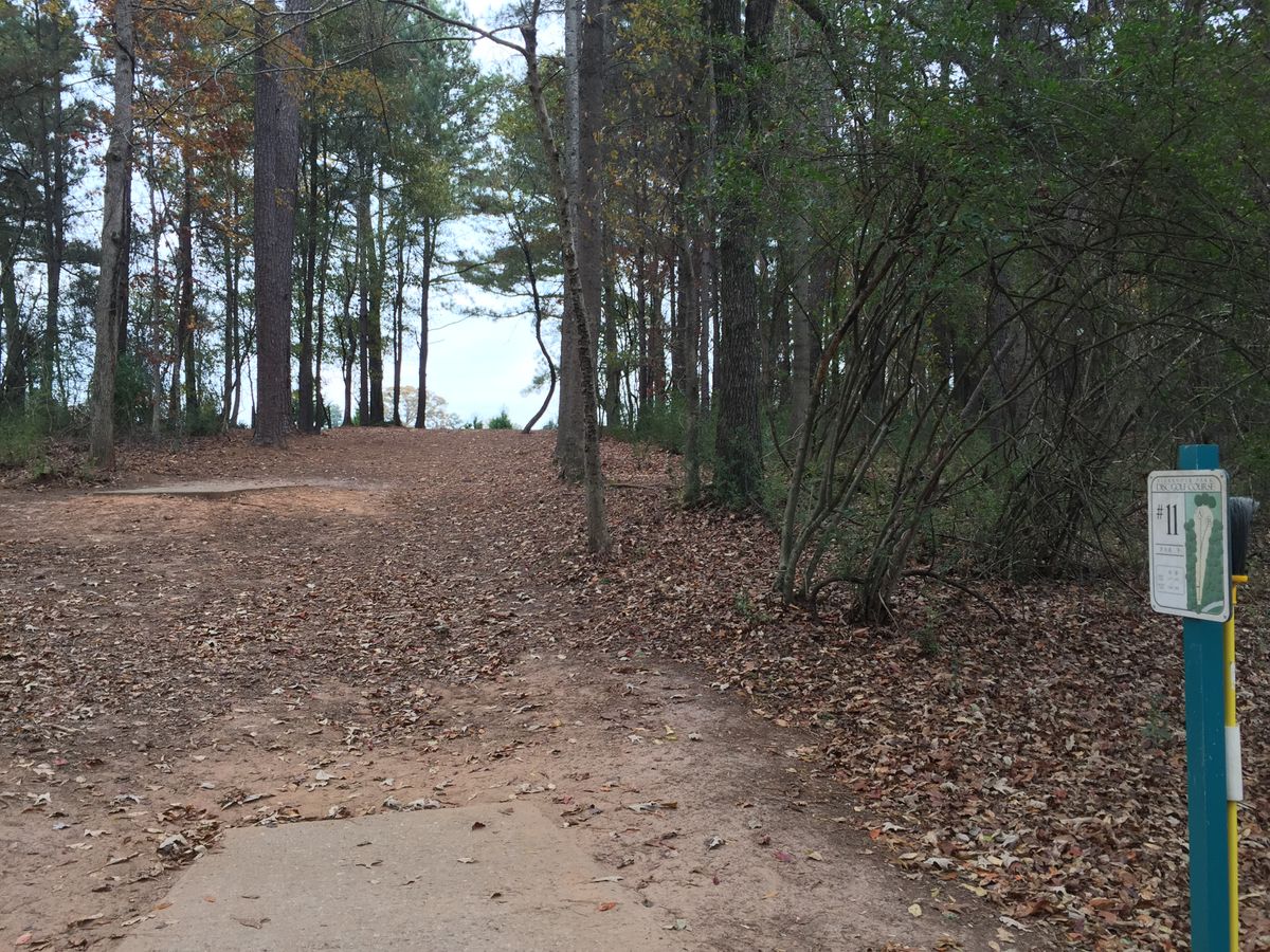 Hole 11