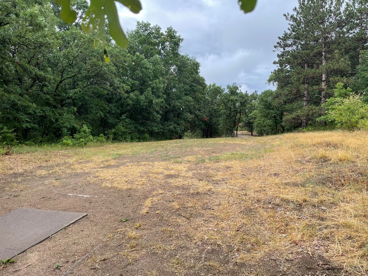 Hole 6 from tee (old hole 3)